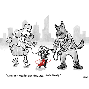 Day Seven, Sit, Human!