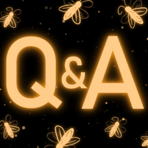 Q&amp;A Special