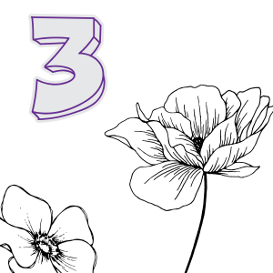 Chapter 3