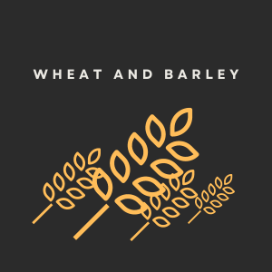 5. Wheat and Barley (pt. 2) 