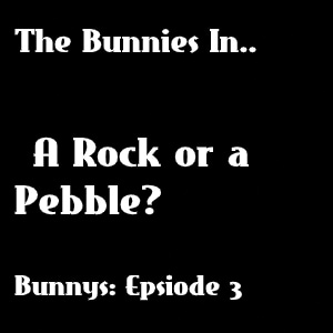 A Rock or a Pebble?