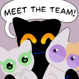 Meet The Team!