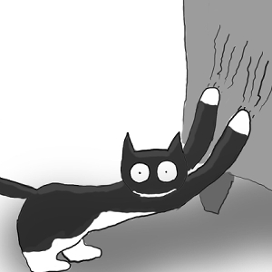 Training your human - Oscar (Berkshire, UK)