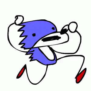 SANIC 13