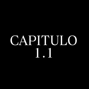 Capitulo 1.1