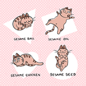 The Many Shapes of Sesame