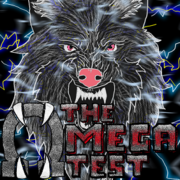 The Omega Test