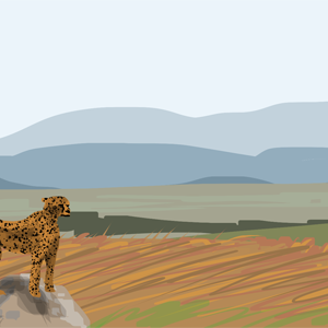 Wild chase, part 1.3