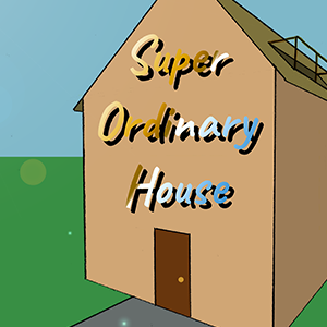 Super Ordinary House