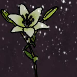 Fragile Lily