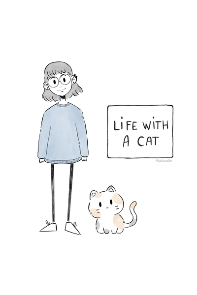 Life with a cat