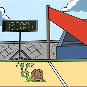 World Record Snail