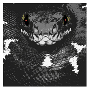 Snake Eyes