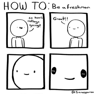 HOW TO: Be a freshman