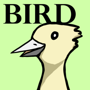 Meet Bird [PART 3]