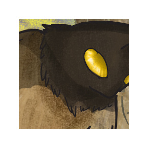 Normal Stuff in the forest