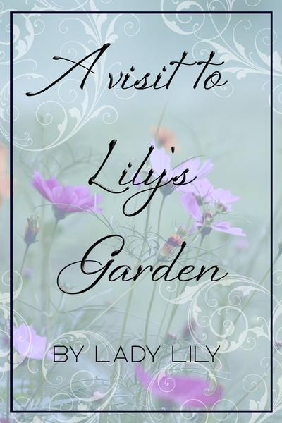 A Visit To Lily's Garden