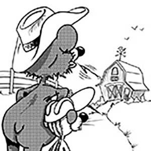 Ever Seen A Barn Owl Smile?