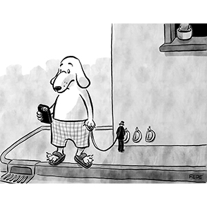 Day Eleven, Sit, Human!