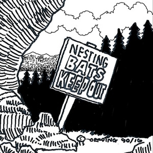 A Trespasser in the Forest