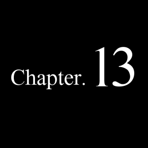 Chapter 13