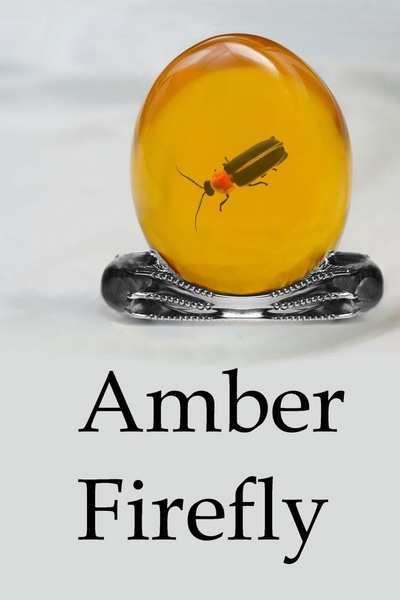 Amber Firefly