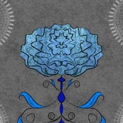 Carnations- Vol 1.