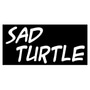 Sad Turtle