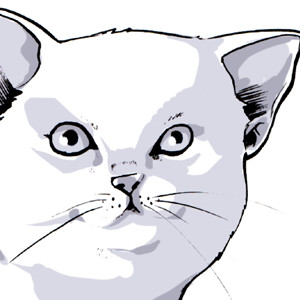 How to draw a cat