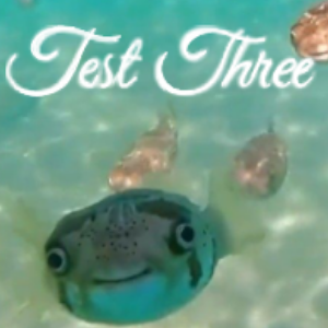 #3