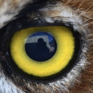 Capitulo 2 &uacute;ltima parte 