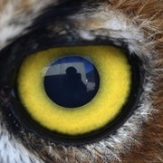 Los hilos del tiempo