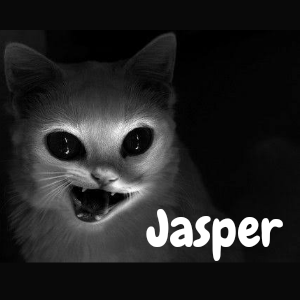 Jasper 