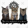 Supernatural; The Cat-Dean Case