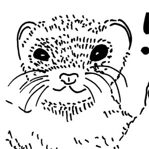 A Random Day at Ueno