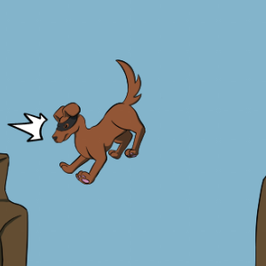 The Ultimate Ninja Dog