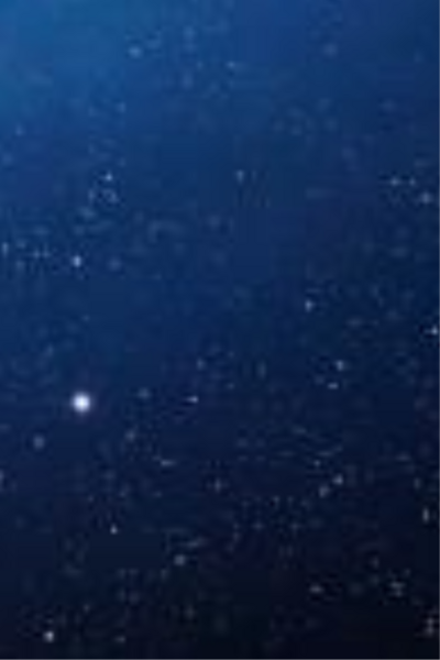 The landlord of everything