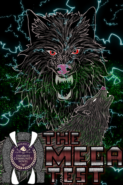 The Omega Test