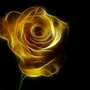 The Golden Rose