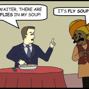 Fly Soup
