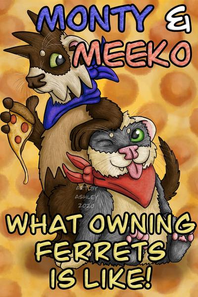 What Owning Ferrets is Like! - Starring Monty and Meeko