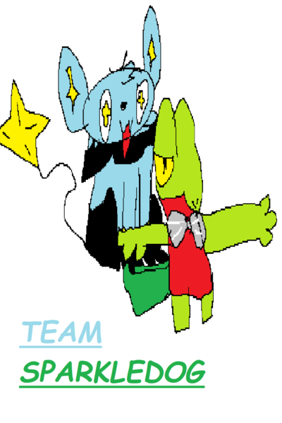 Team Sparkledog