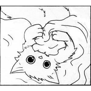 Three Reasons You Can't Sew with a Cat