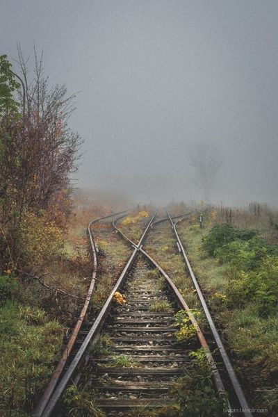 Gone but Not Forgotten