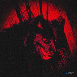 Chapter 4: The Black Wolf's Shadow and Zayn's Descent