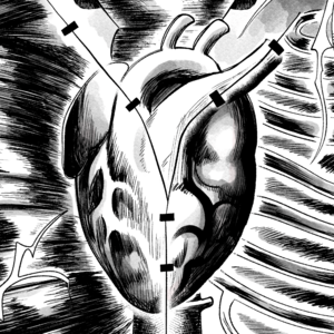 Coming this Saturday...