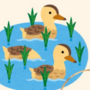 A Duckling's First Swim