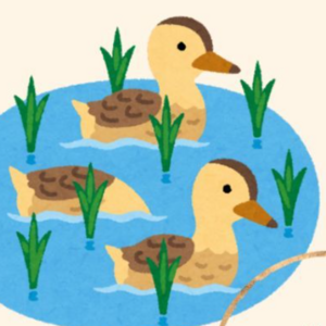 A Duckling's First Swim