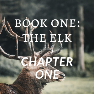 Chapter One - The Trial