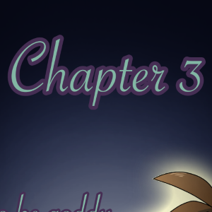 Chapter 3